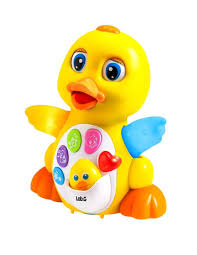 Pollito canta